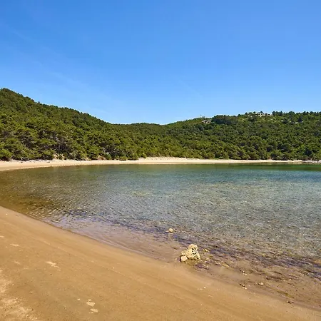 Cozy In With Wifi Saplunara