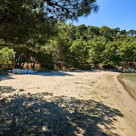 Cozy In With Wifi * Saplunara