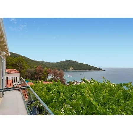 1 Bedroom Pet Friendly In *